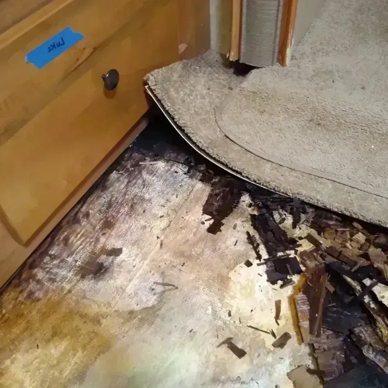 Wood Floor Water Damage in Holt, AL